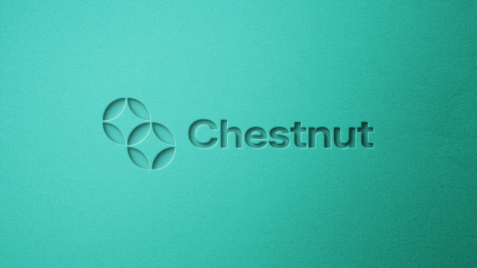 Chestnut — brand identity cover